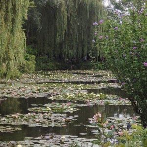 Meet your Posher, Clara